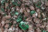 Malachite, Selenite and Ferroan Dolomite Association - Morocco #104177-1